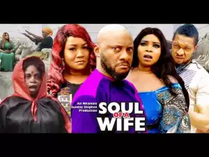 Soul Of A Wife Season 7