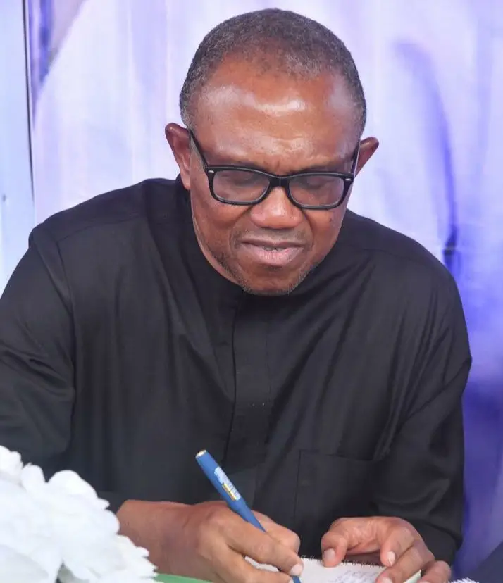February 25 Presidential Election: Peter Obi writes letter to Nigerians