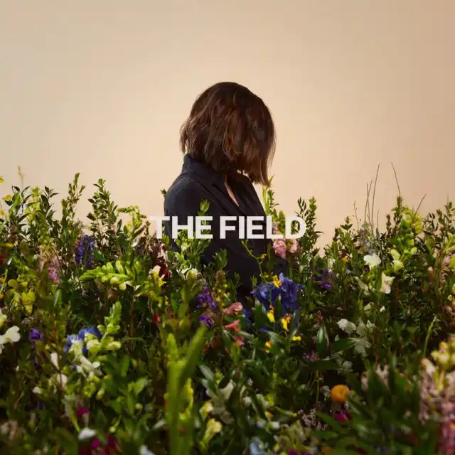 [Album] Kristene DiMarco – The Field