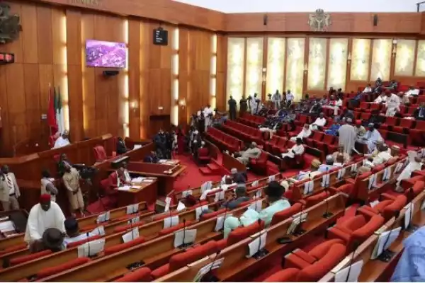 Controversy As Senate Begins Public Hearing On Social Media Bill