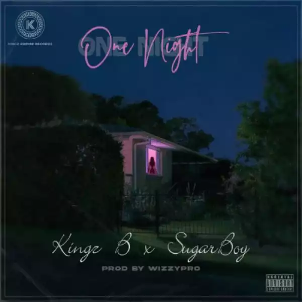 Kingz B – One Night ft. Sugarboy