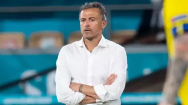 Spain coach Luis Enrique responds to middle finger incident