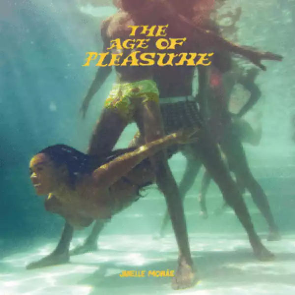 Janelle Monáe – The Age of Pleasure (Album)