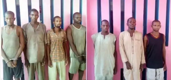 BUSTED!! Police Arrest 14-Member Kidnapping Syndicate In Adamawa