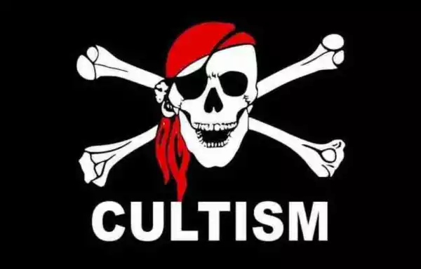 LET’S TALK!! What Are The Advantages Of Cultism?