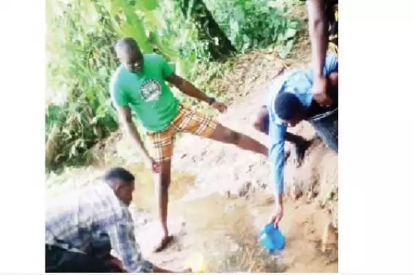 Water Scarcity Hits OAU, Students Fetch From Stream