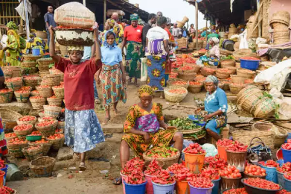 Nigerian Economy Shrinks By N63bn, 28 Sectors Struggle