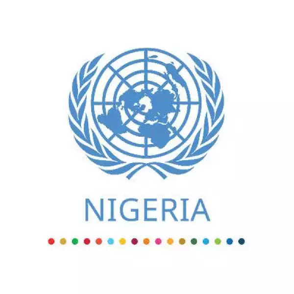 UN donates ambulances to Lagos state, restates solidarity with FG