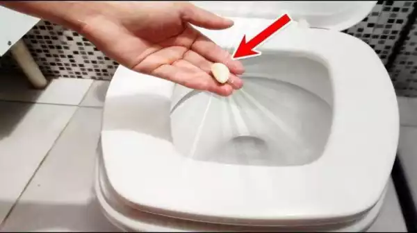 See why you should put one garlic in your toilet at night.