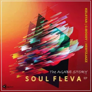 Soul Fleva – The Light & Cure (feat. C-Moody)