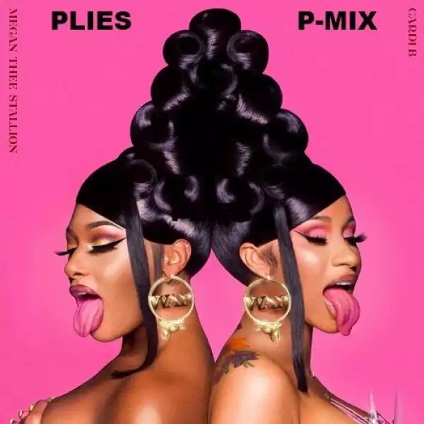Plies - WAP (P-Mix)