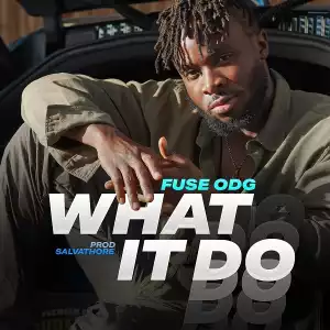 Fuse ODG – What It Do