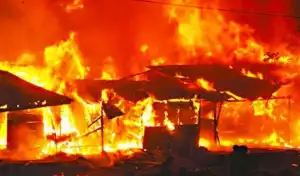 Fire Razes Borno Market