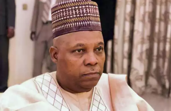 2023 Presidential Election Is The Most Credible Ever - Shettima