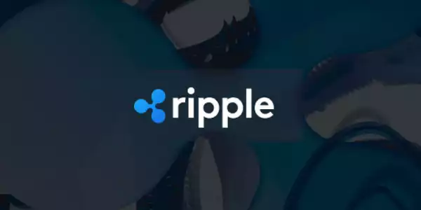 Ripple introduces new $250M creator fund for NFT development on XRP Ledger