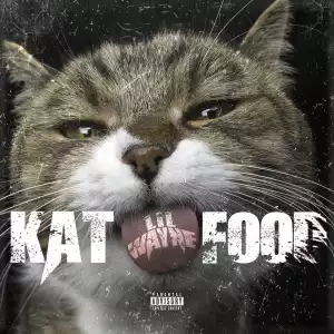 Lil Wayne – Kat Food (Instrumental)