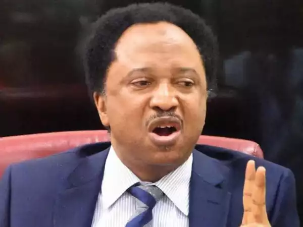 2023 Election: Endorse The Devil You Know – Shehu Sani Urges G5 Governors