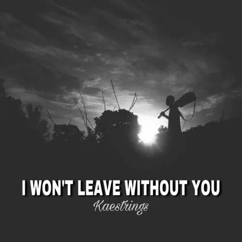 Kaestrings – I Won’t Leave Without You