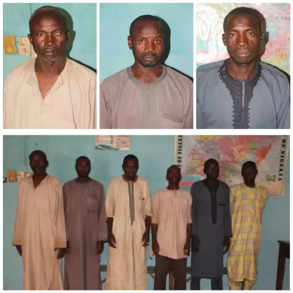 Police arrest six men men for raping 12-year-old girl in Bauchi