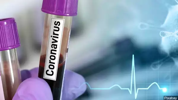 Coronavirus cases in Nigeria now 81 as disease spreads to Enugu