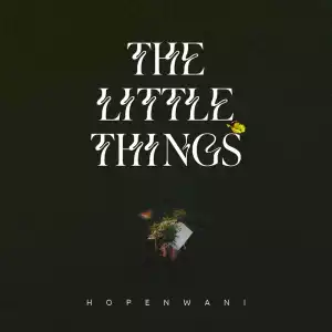 Hope Nwani – The Little Things
