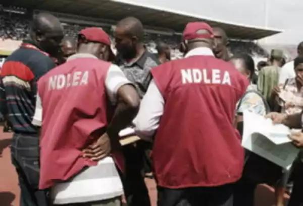Recruitment: NDLEA releases lists of successful candidates