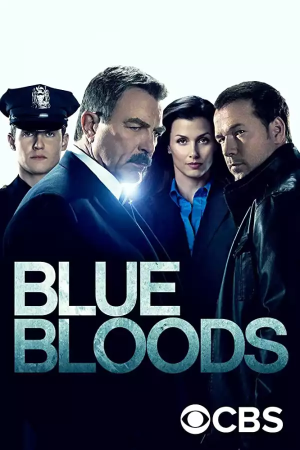 Blue Bloods S10E17 - THE PUZZLE PALACE (TV Series)