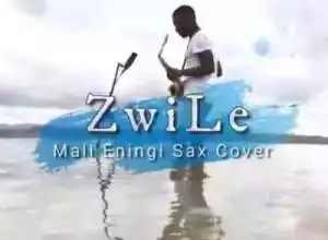 Big Zulu – Mali Eningi Ft. Riky Rick & Intaba Yase Dubai (Zwile Sax Cover)