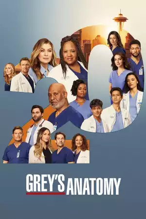 Greys Anatomy S20 E06