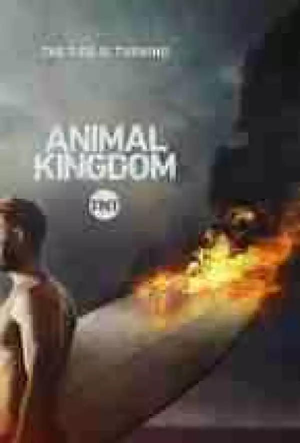 Animal Kingdom Season 3 Episode 5