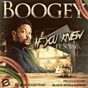 Boogey - If You Knew Ft. Sojay