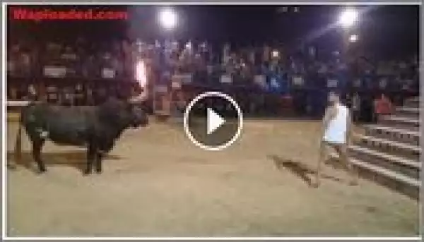Comedy Video Of The Day: Bull With Fire Equals to Death