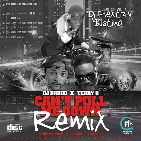 DJ Baddo - Can’t Pull Me Down (Remix By DJ Fletzy Binlatino) Ft. Terry G