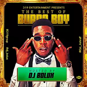 DJ Bolux - Best of Burna Boy Mix