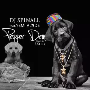 My Story BY DJ Spinall