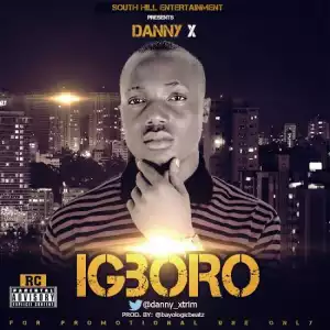 Danny X - Igboro