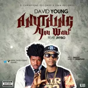 David Young - Anything You Want ft. Jhybo