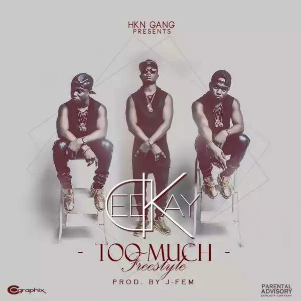Deekay - Too Much (Freestyle)