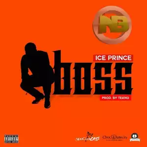 Ice Prince - Boss (Prod. by Tekno) | Snippet