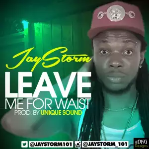 Jaystorm - Leave Me For Waist
