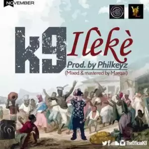K9 - Ileke (Snippet)