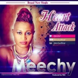 MeeChy - Heart Attack
