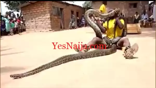 Must Watch!! AFRICAN MEN SWOLLEN AND PLAYING WITH LIVE PYTHON