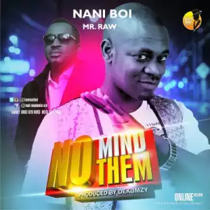 Nani Boi - No Mind Them Ft. Mr Raw