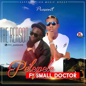 PelePele - The Reason Ft. Small Doctor