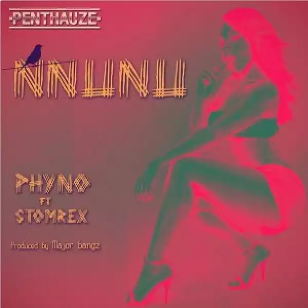 Phyno - Nnunu Ft. StormRex (Prod. By Major Bangz)