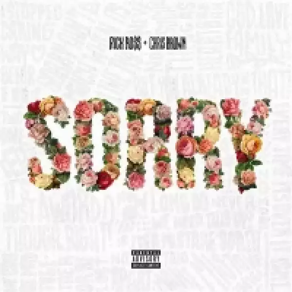 Rick Ross - Sorry (Snippet) Ft. Chris Brown