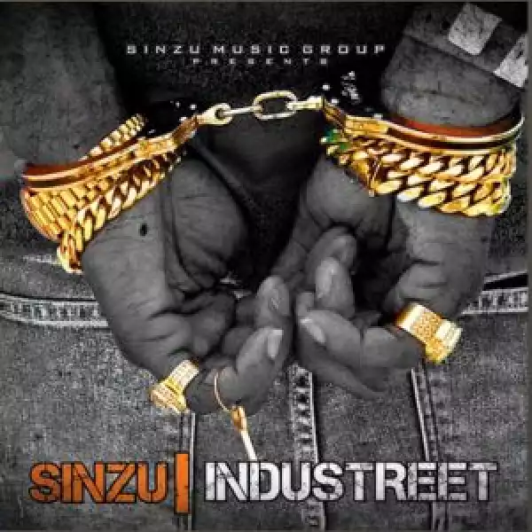 Sinzu - Money In My Pocket