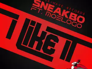 Sneakbo Ft. MoeLogo – I Like It