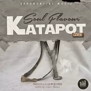Soul Flavour - Katapot (Reekado Banks Cover)